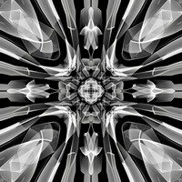REFRACTIONS IN THE DARK