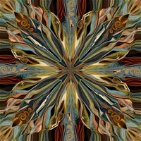 COLOR IN MOTION